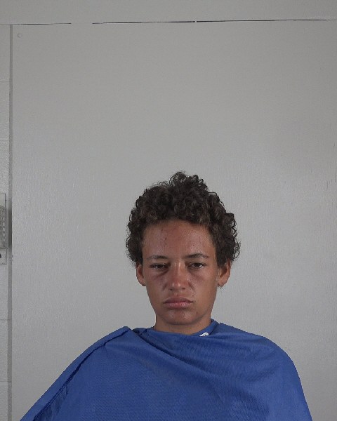 Mugshot of LEANIA BUTLER