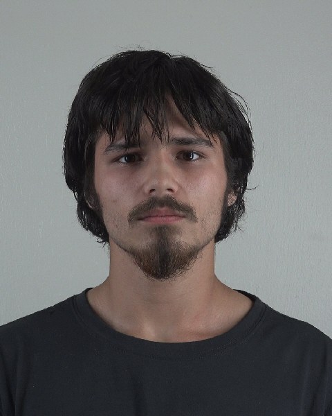 Mugshot of ACE LEE
