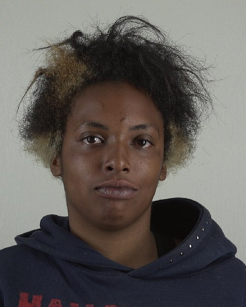 Mugshot of BREANNA WILLIAMS