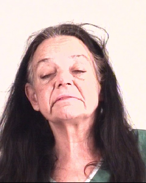 Mugshot of DONNA BARNES