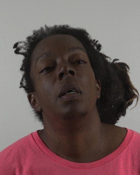 Mugshot of VERA FANNER