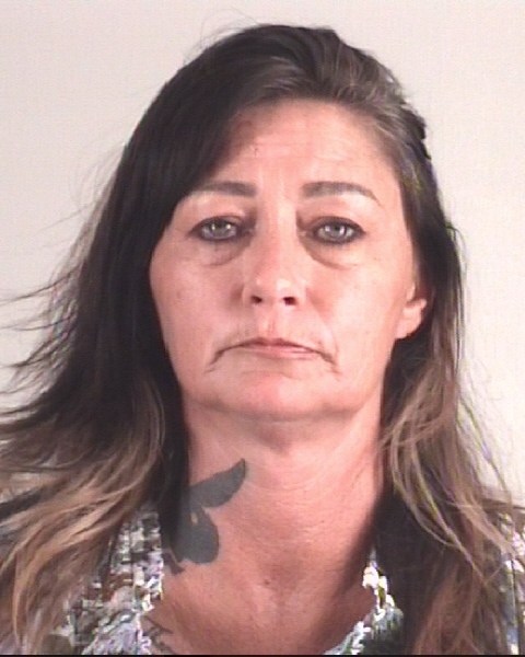 Mugshot of RHONDA WELLS