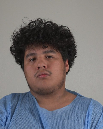 Mugshot of PEDRO FLORES