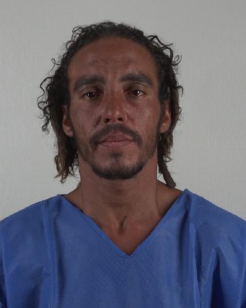 Mugshot of TEVIN BARNES