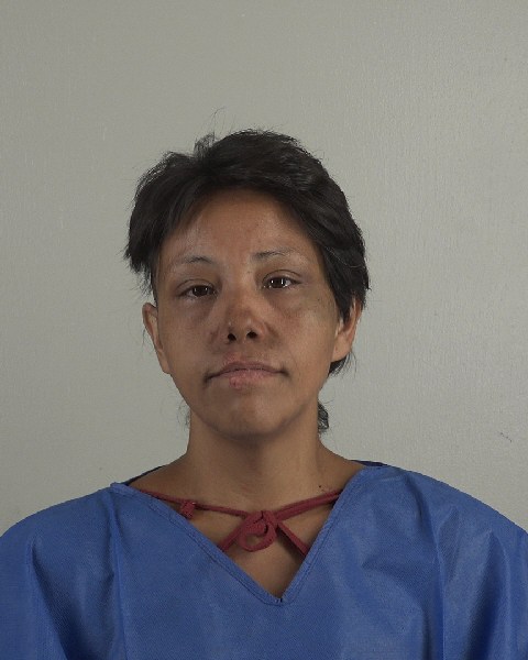 Mugshot of ELIZABETH CASTRORAMIREZ