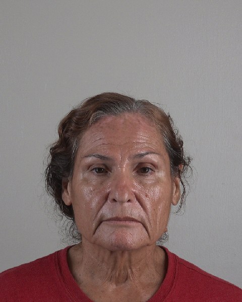 Mugshot of IRENE HERNANDEZ