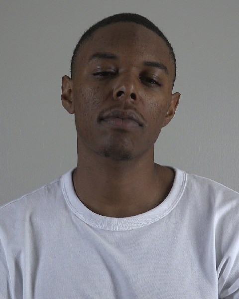 Mugshot of AURELL HOLLIE