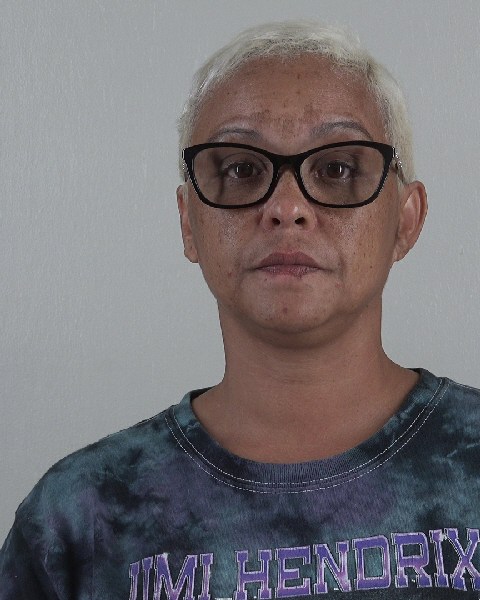 Mugshot of MEAGAN BROWN