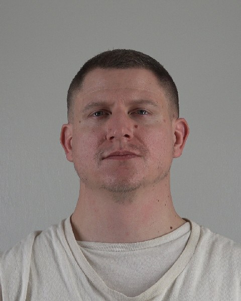 Mugshot of BRIAN COX