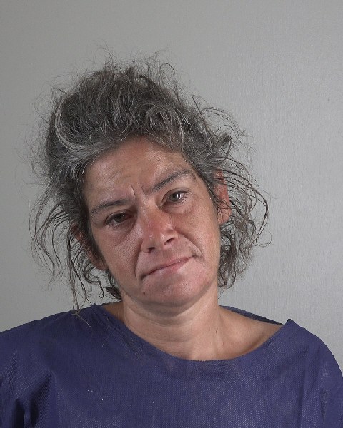 Mugshot of ANGELA HIGGINS