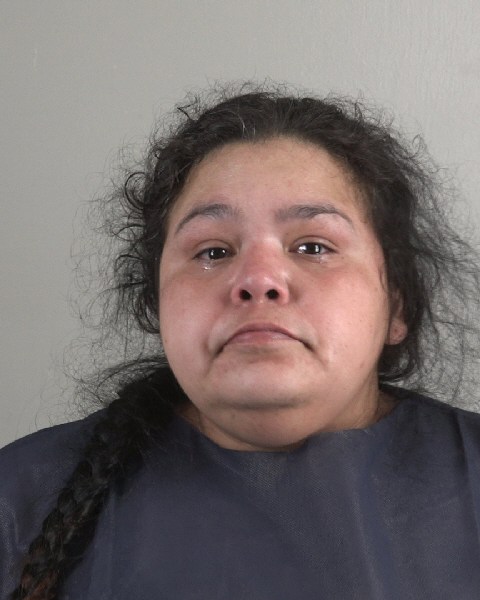 Mugshot of ERICA HUIZAR