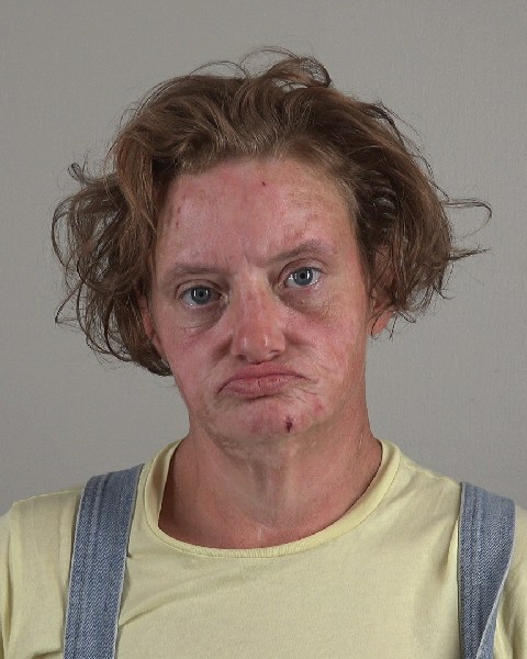 Mugshot of JULIE SULIPECK