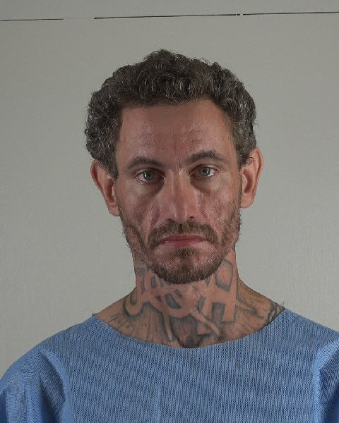 Mugshot of SEAN MITCHELL
