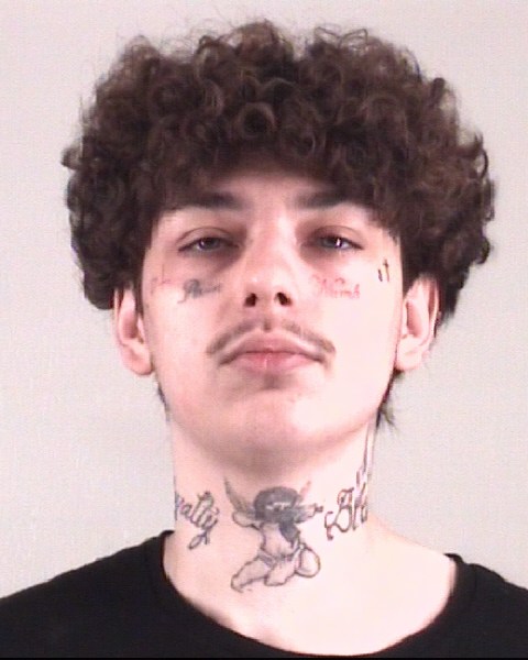 Mugshot of SKYLAR TURK