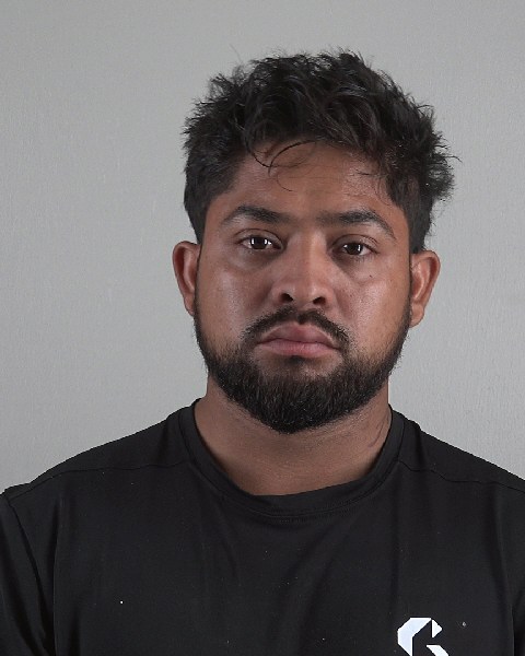 Mugshot of FERNANDO MEJIAALVARADO