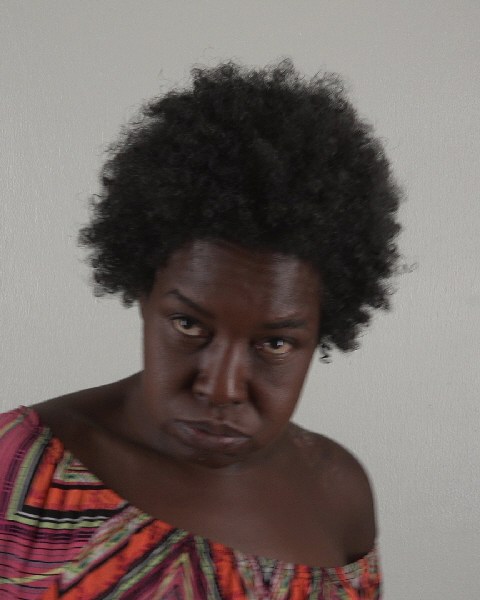 Mugshot of RENETTA INGRAM