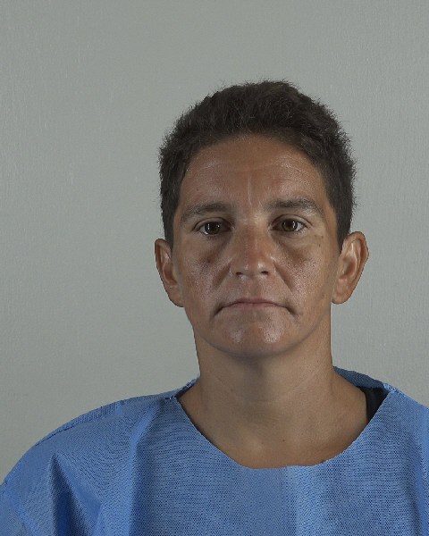 Mugshot of JANETTE RIVERA