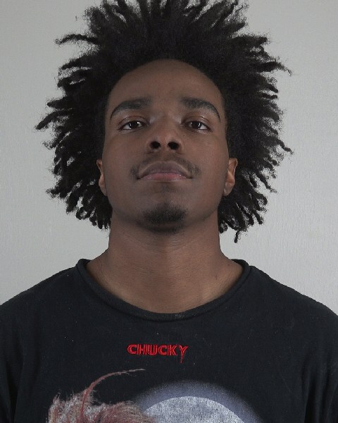 Mugshot of DEAUNDREA ELLIOTT