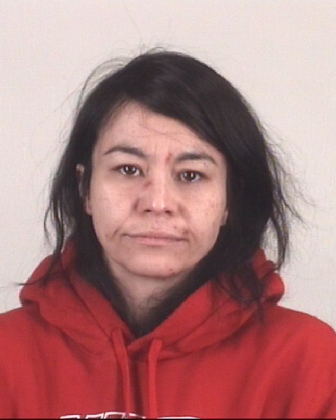 Mugshot of SYLVIA GARBER