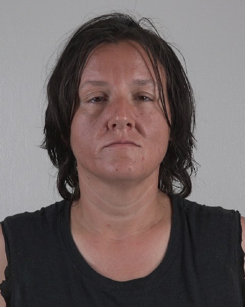 Mugshot of TERRI WILLUHN