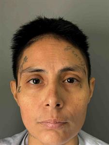 Mugshot of LUZ MILAGROS ALANIZ