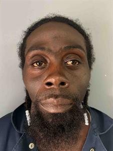 Mugshot of LAMAR O SCOTT