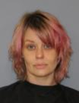 Mugshot of BRITTANY SHEA DICKSON