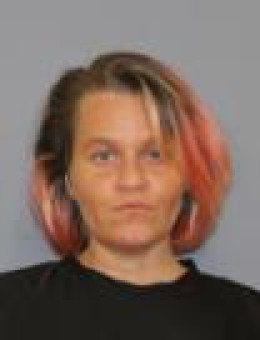 Mugshot of ANNIKA KRISTINA M HARRELL
