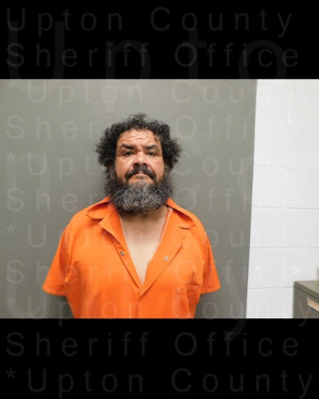 Mugshot of MARTIN JR BUSTOS