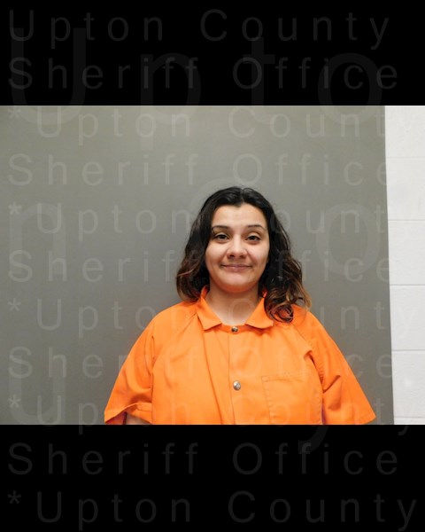 Mugshot of PAIGE M GALAN
