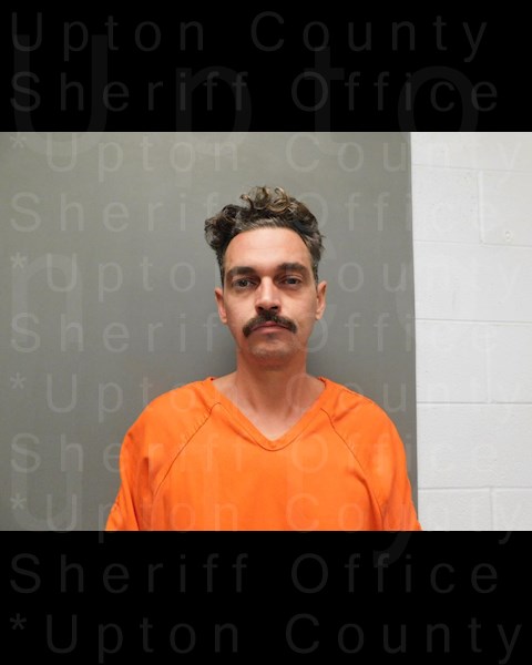 Mugshot of JACE AARON ROBINSON