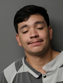 Mugshot of ROQUE JR ESQUIVEL