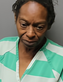 Mugshot of STACEY LYNN GALLOW