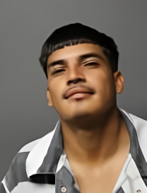Mugshot of ANASTACIO IBARRA