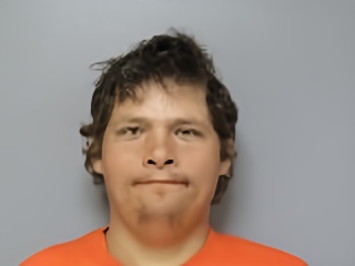 Mugshot of Dale Ray Jr Schoolcraft