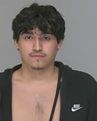 Mugshot of Brian Josemir Badillo
