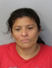 Mugshot of Alba Luz Ruiz