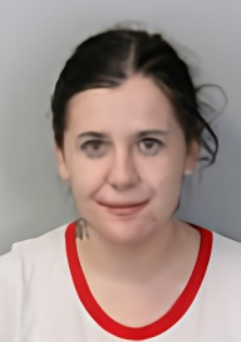 Mugshot of Breana Kay Halvorson