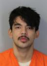 Mugshot of JOHNNY JR MOLINA