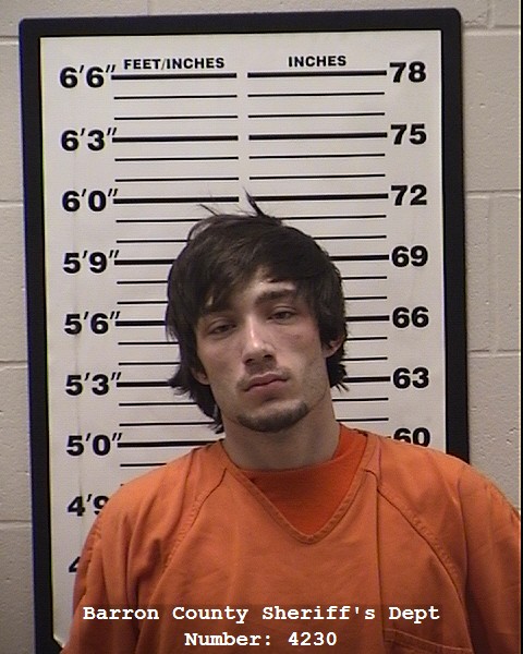 Mugshot of logan lea olson