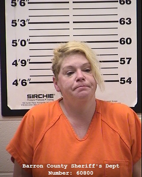 Mugshot of angie lee gesler
