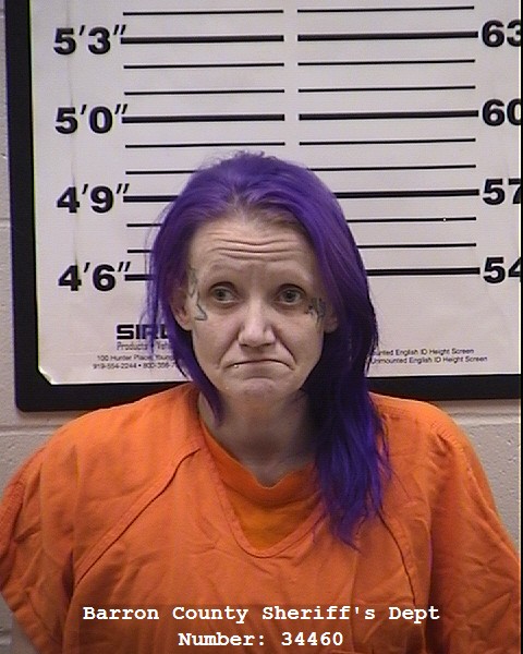 Mugshot of tanya maire krause