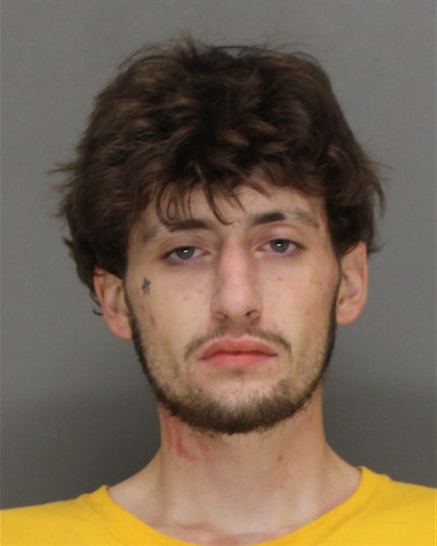 Mugshot of JESSE JAMES BURMEISTER