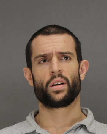 Mugshot of SONNY D TORRES-AMMEL