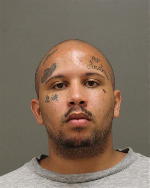Mugshot of CHRISTIAN MIKHI HARTMAN