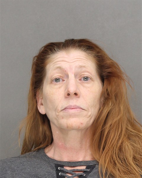 Mugshot of SHAWN LOUISE BIERHALS