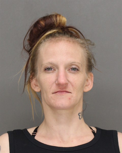 Mugshot of AMANDA MARIE HERNANDEZ
