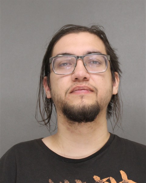 Mugshot of ELIAS EARL SKENANDORE