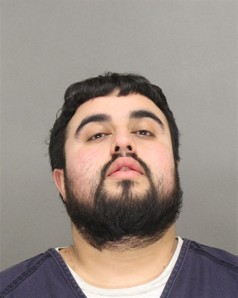 Mugshot of ERIK MARTIN ALVARADO-PRIETO