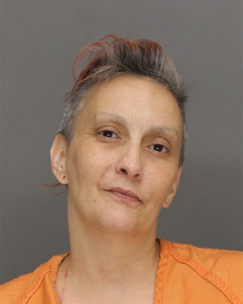 Mugshot of TONYA LARAE DUTCH